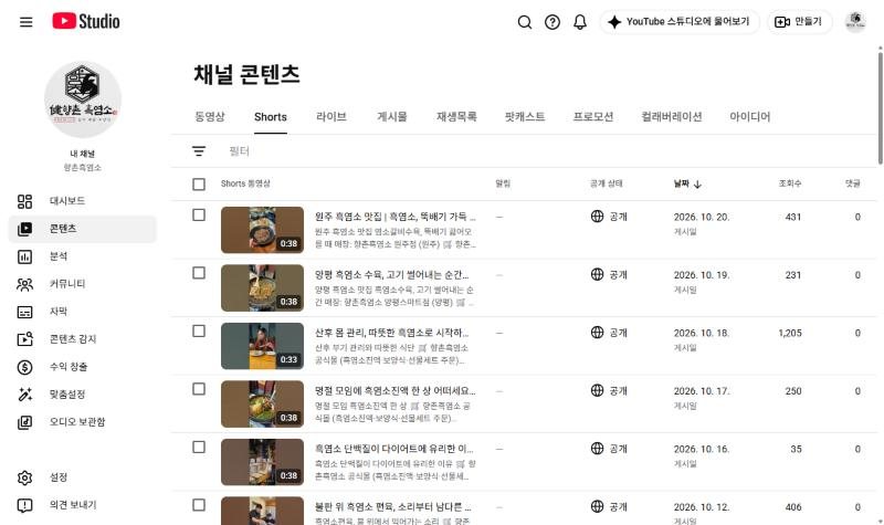 유튜브 스튜디오 — 매일 1편씩 게시된 쇼츠 목록